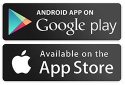 AppStore и Google Play 