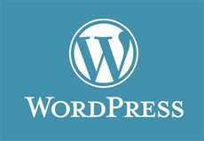 Wordpress блог 