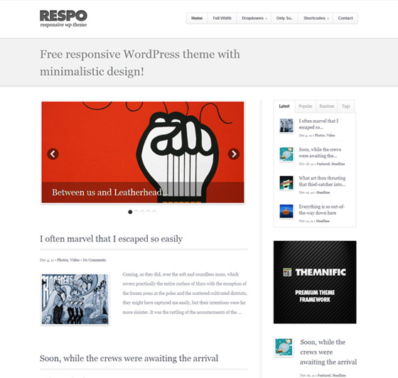 Respo blog template