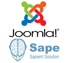 Установка кода Sape для Joomla