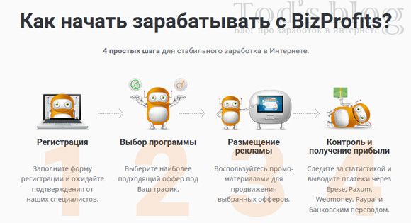 Заработок в партнерской программе BizProfits 
