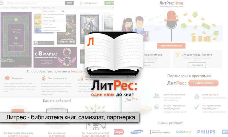 Проект чтец от литрес