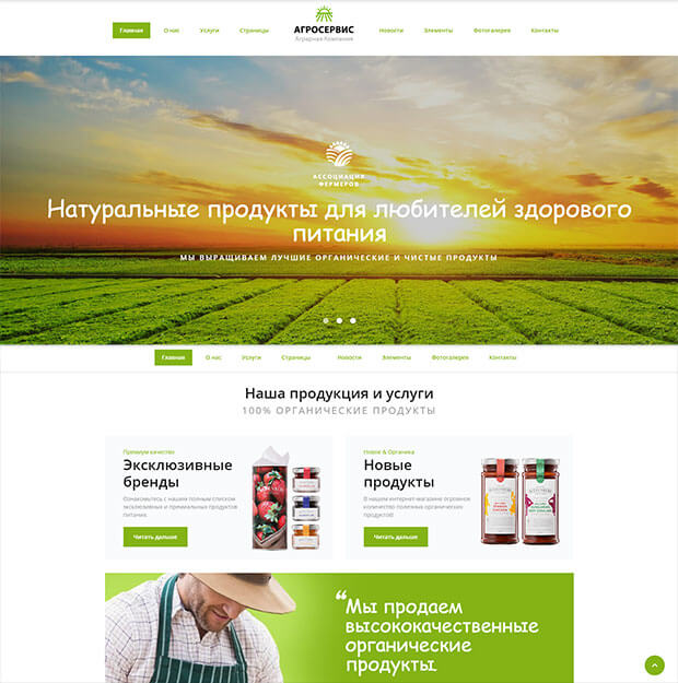 Многостраничный HTML Ru шаблон сайта органической еды