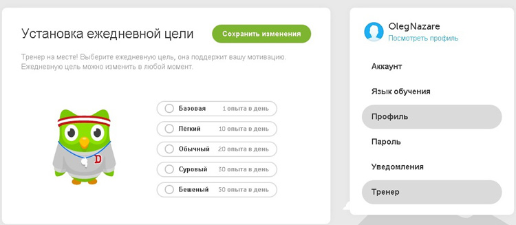 Обзор сервиса Duolingo 