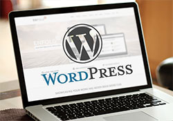 Розробка на WordPress